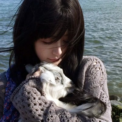 老鼠逗猫
